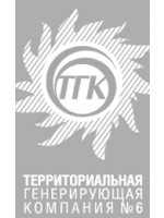 Нижегородский филиал ОАО «ТГК-6»